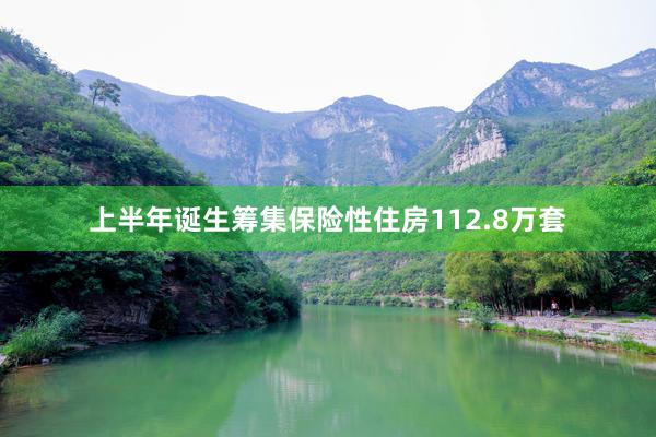 上半年诞生筹集保险性住房112.8万套