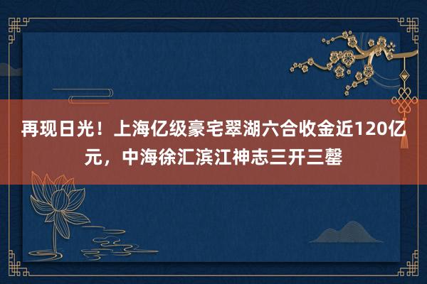 再现日光！上海亿级豪宅翠湖六合收金近120亿元，中海徐汇滨江神志三开三罄