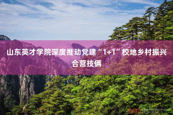 山东英才学院深度推动党建“1+1”校地乡村振兴合营技俩