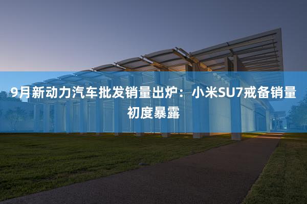 9月新动力汽车批发销量出炉：小米SU7戒备销量初度暴露