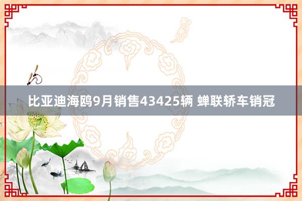 比亚迪海鸥9月销售43425辆 蝉联轿车销冠