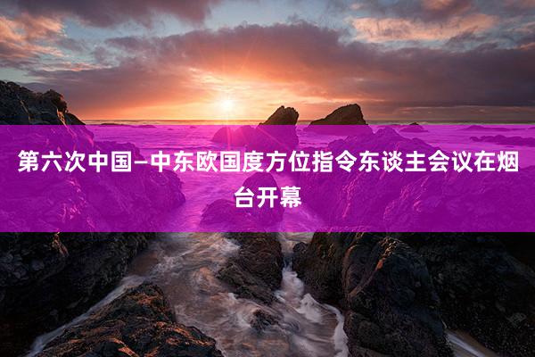 第六次中国—中东欧国度方位指令东谈主会议在烟台开幕